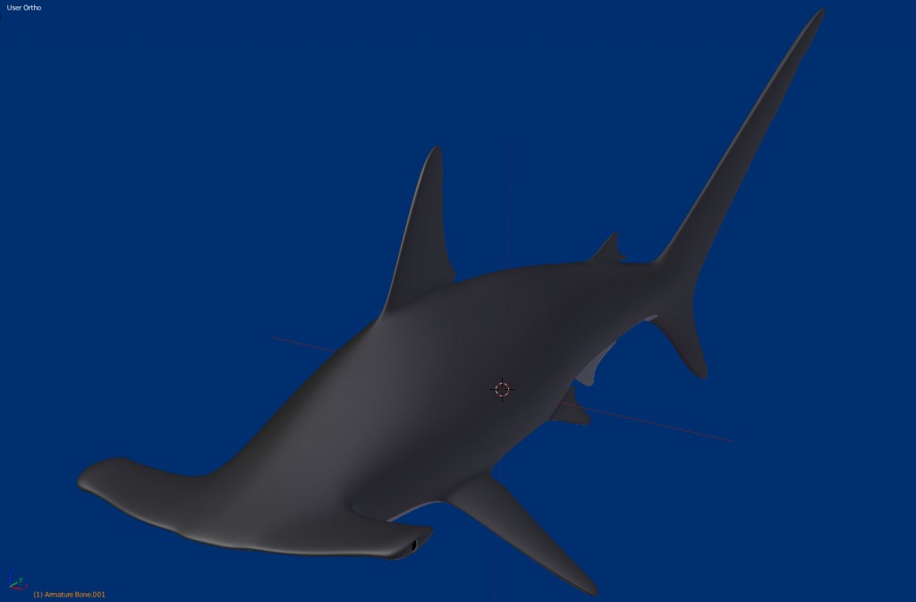 hammerhead shark preview image 1